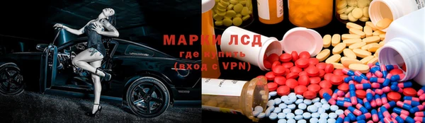 шишки Абаза