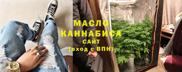 шишки Абаза