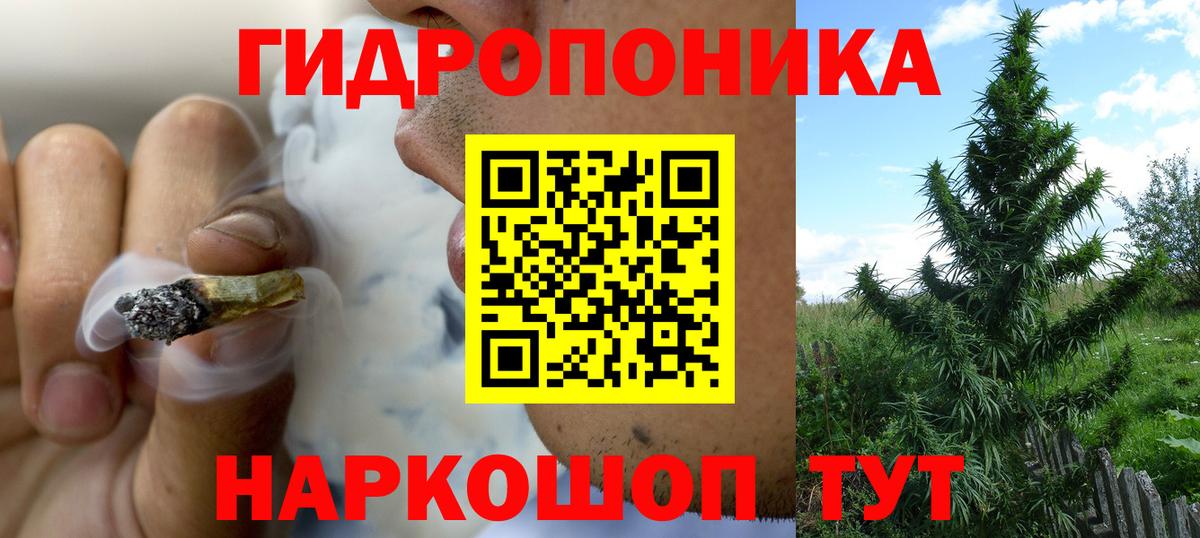 Бошки Шишки White Widow  Марихуана индика  Бошки Шишки семена  Иркутск  Марихуана конопля  Вход с VPN 